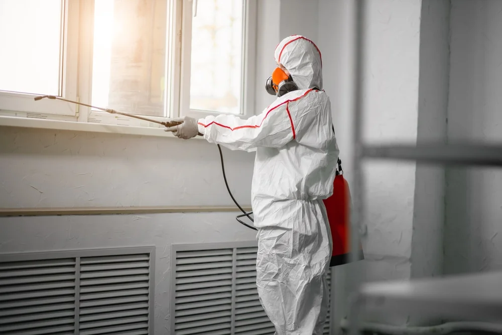 Professional mold remediation services in Stephens, AR